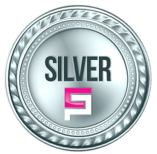 icon plan silver